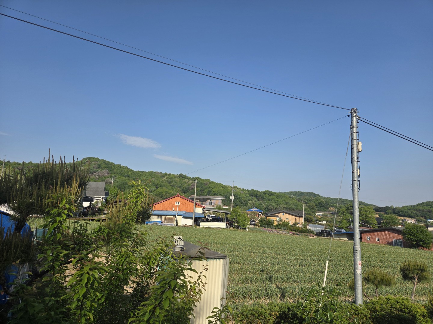 Post image 4