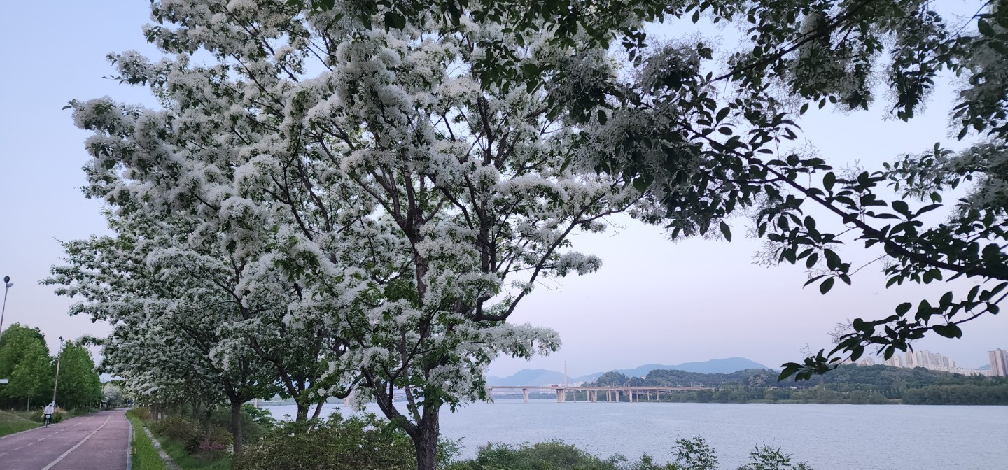 Post image 5