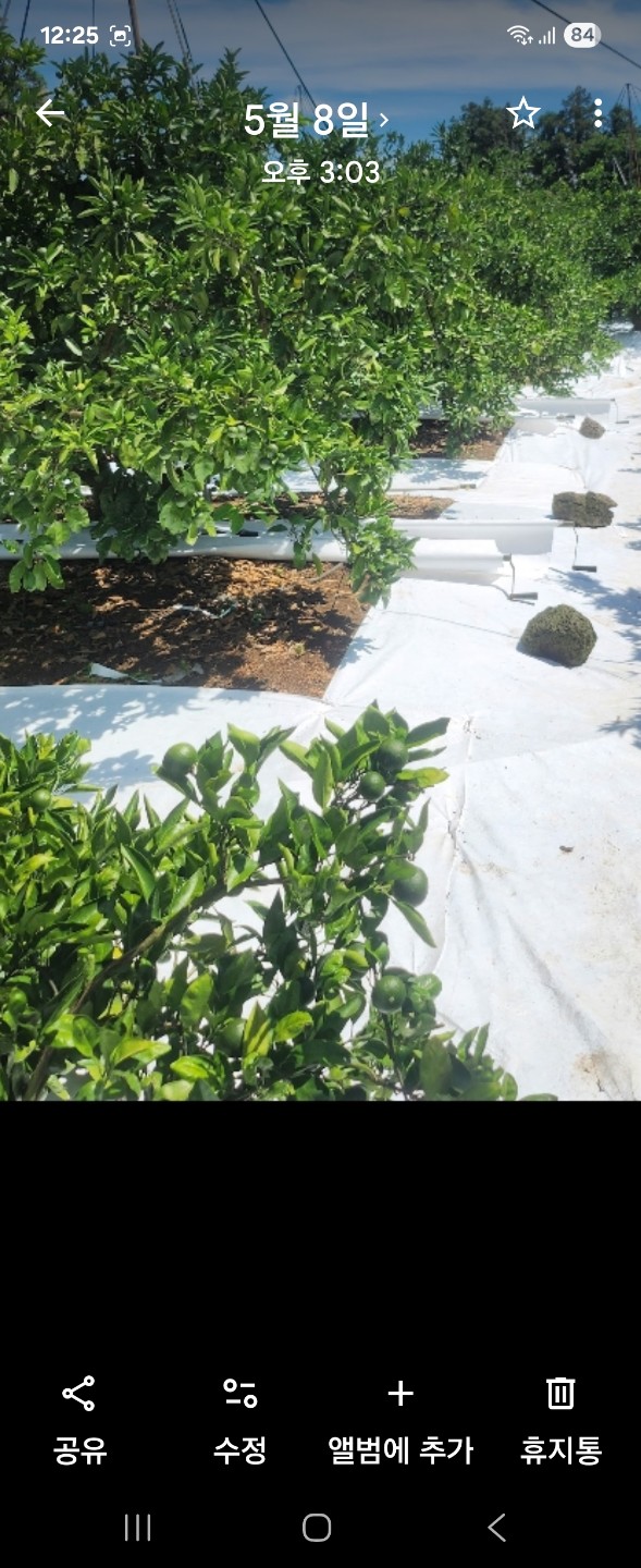 Post image 4
