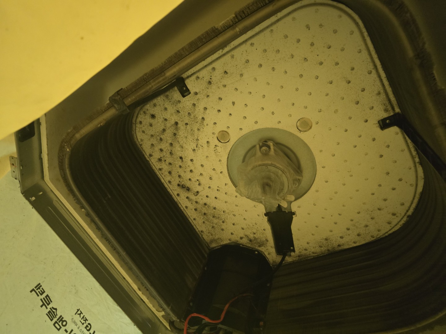 Post image 6