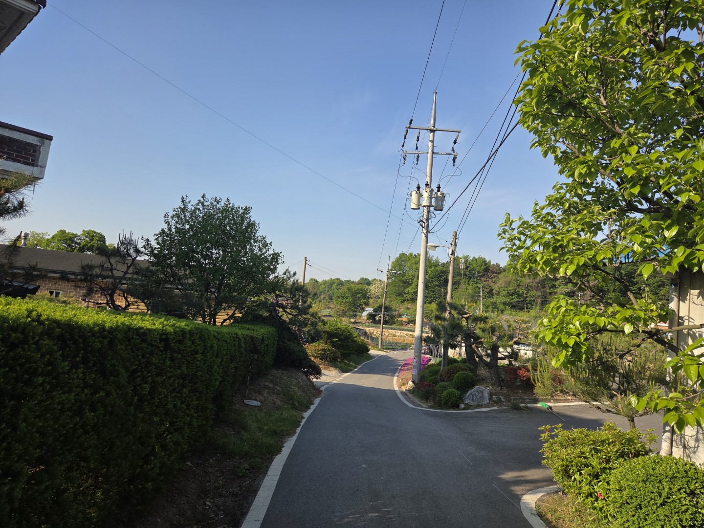 Post image 2