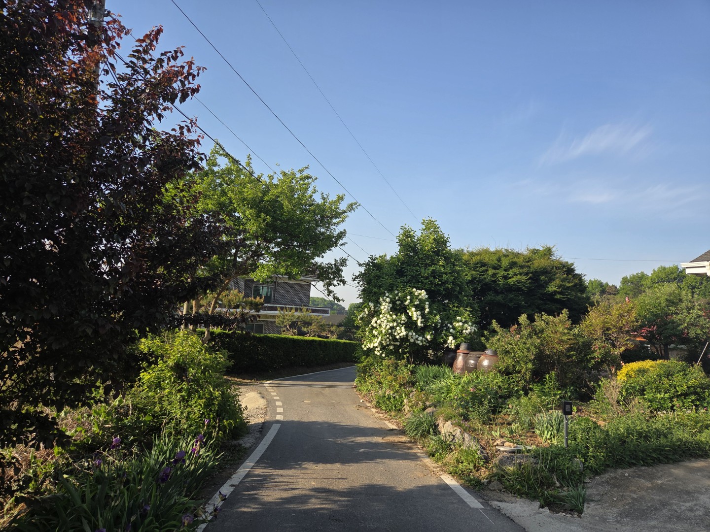 Post image 10