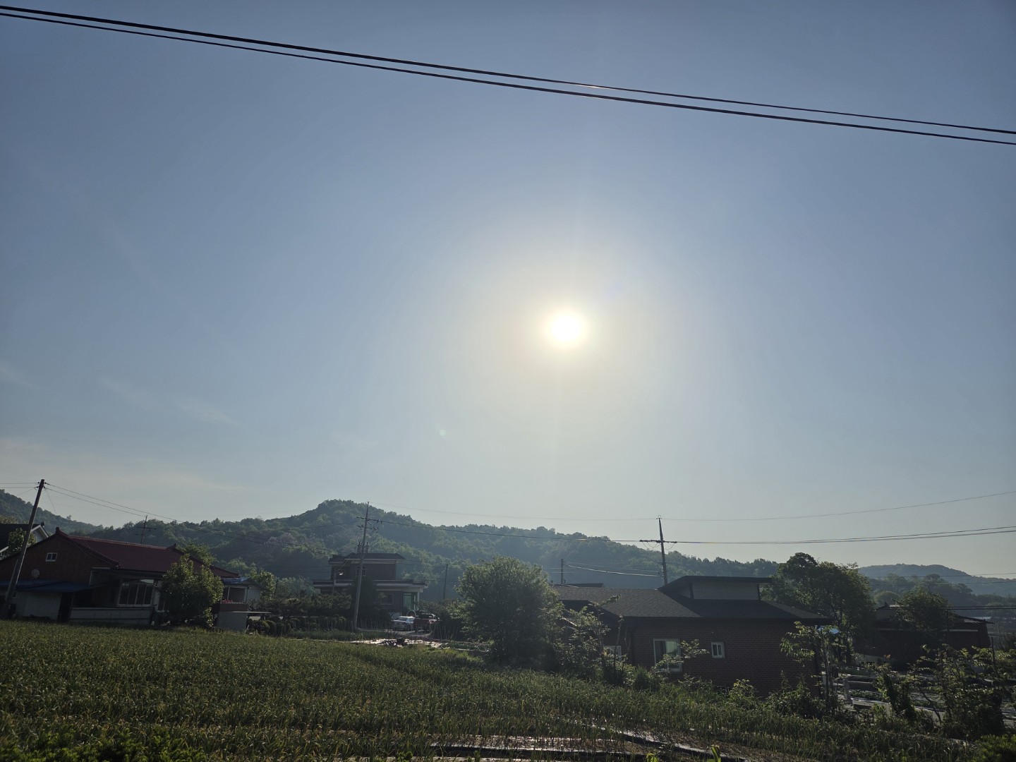 Post image 7