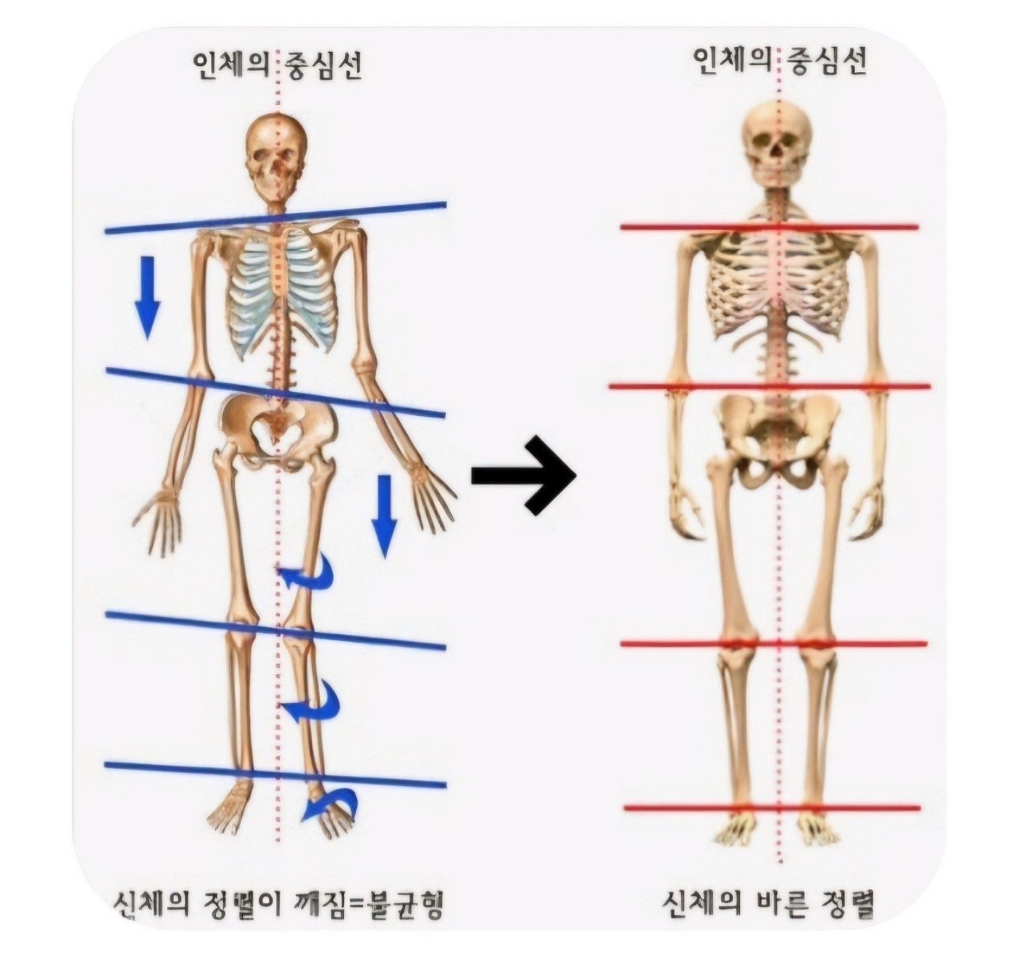 Post image 23