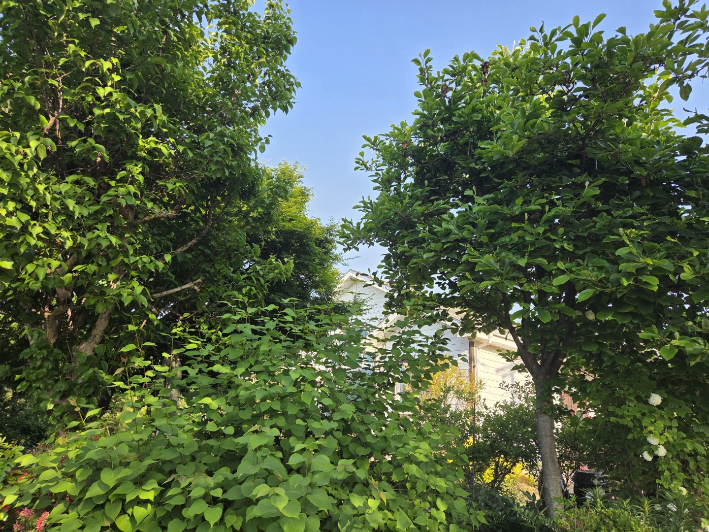 Post image 4