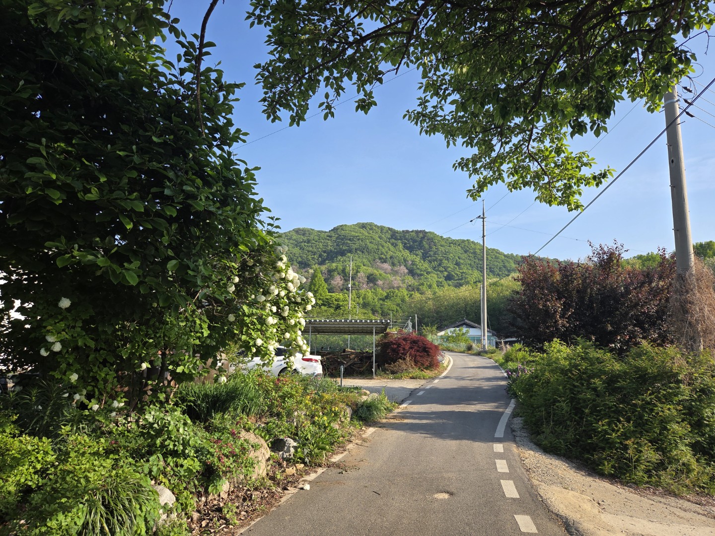 Post image 9