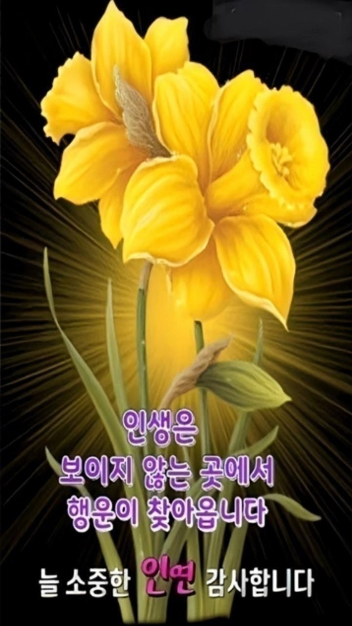 Post image 4