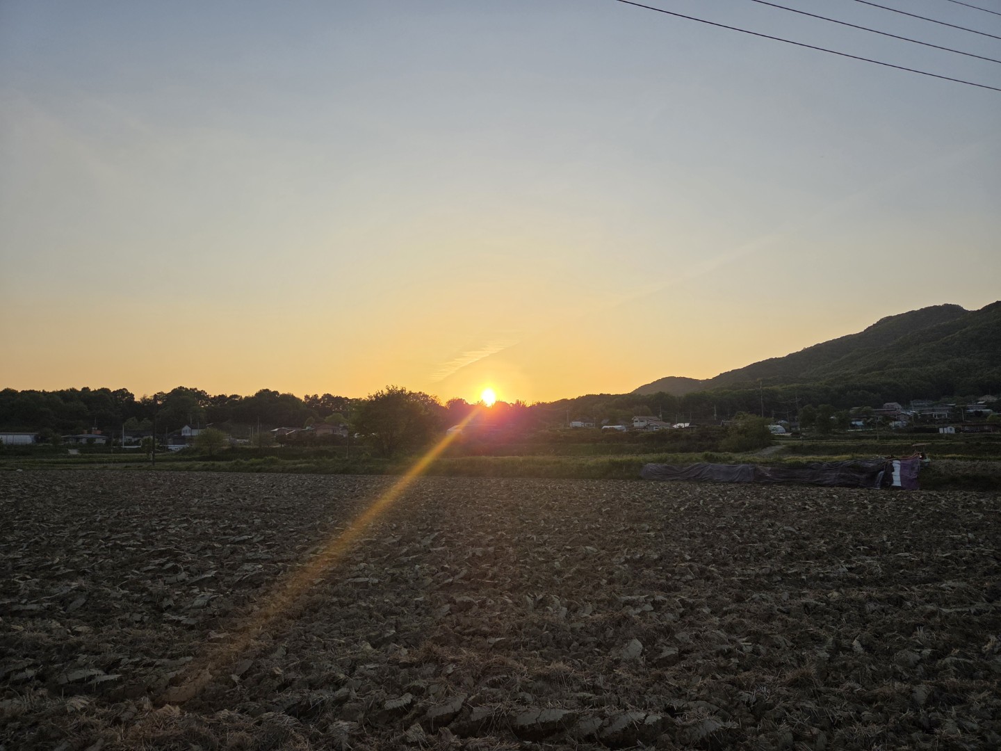 Post image 12