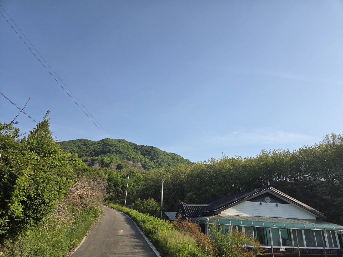 Post image 4
