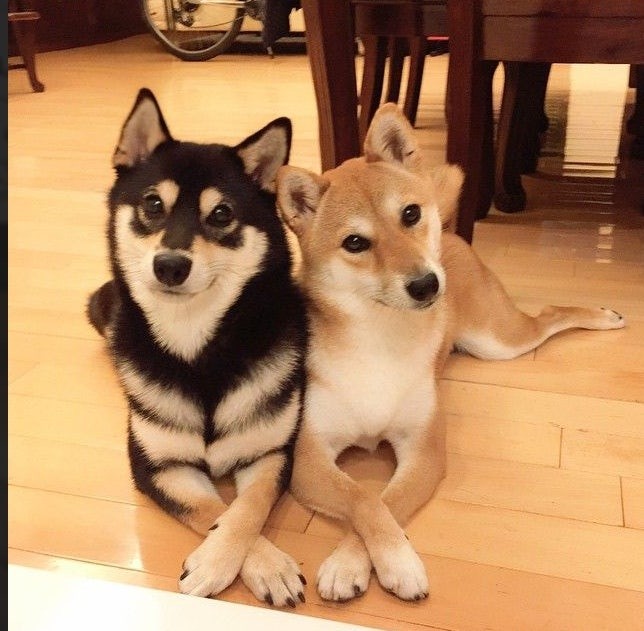 안녕하세요