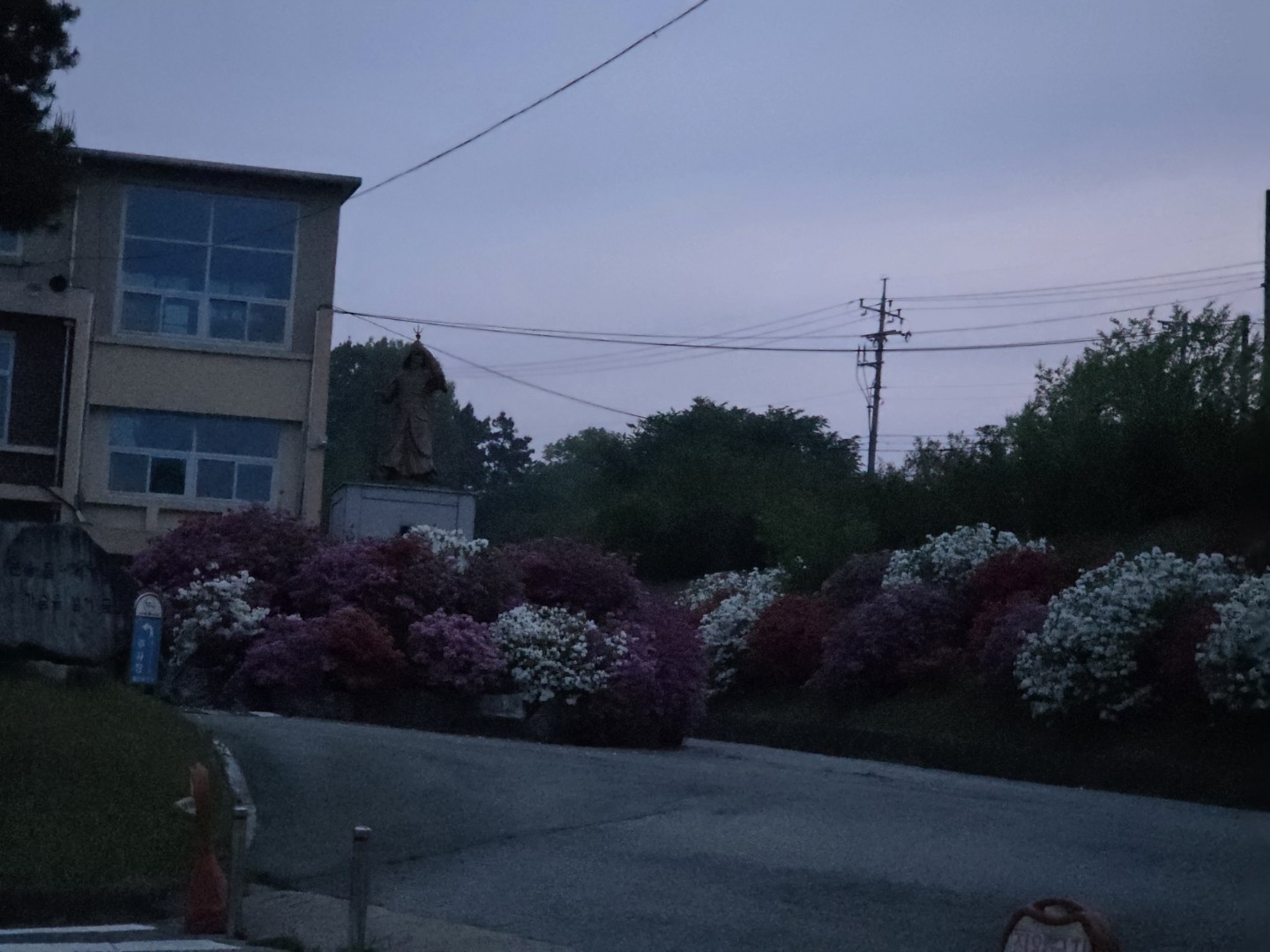 Post image 5