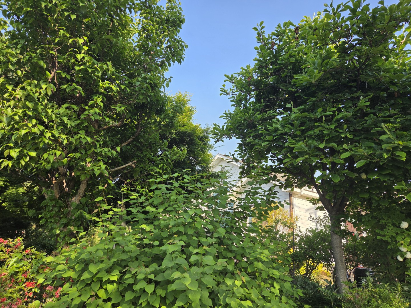 Post image 3