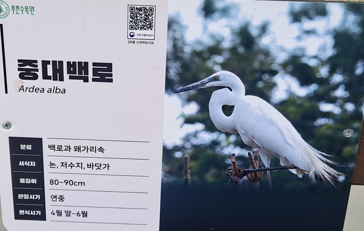 Post image 11