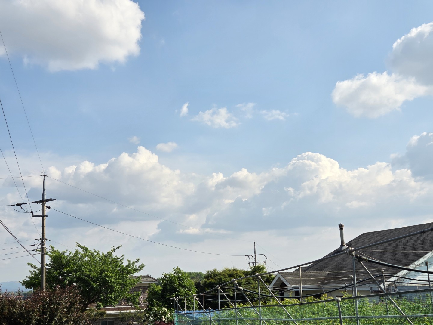Post image 11