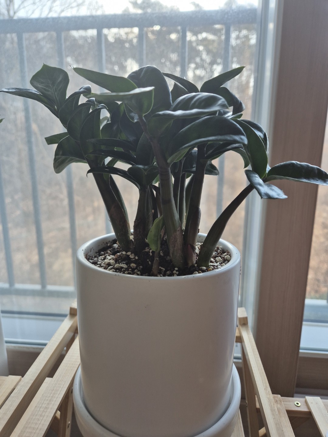 Post image 3