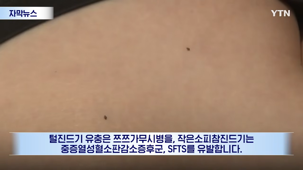 Post image 19