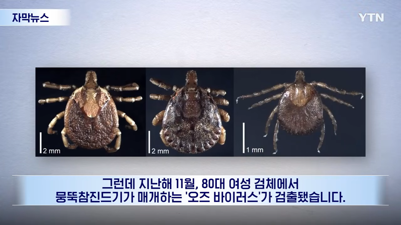 Post image 20