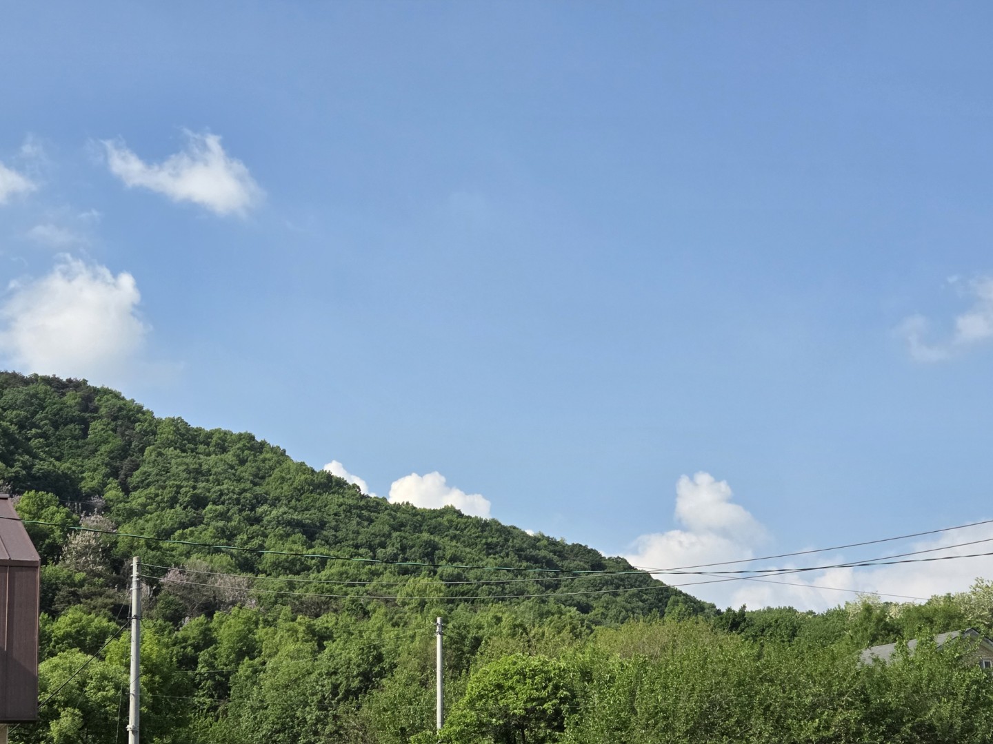 Post image 7