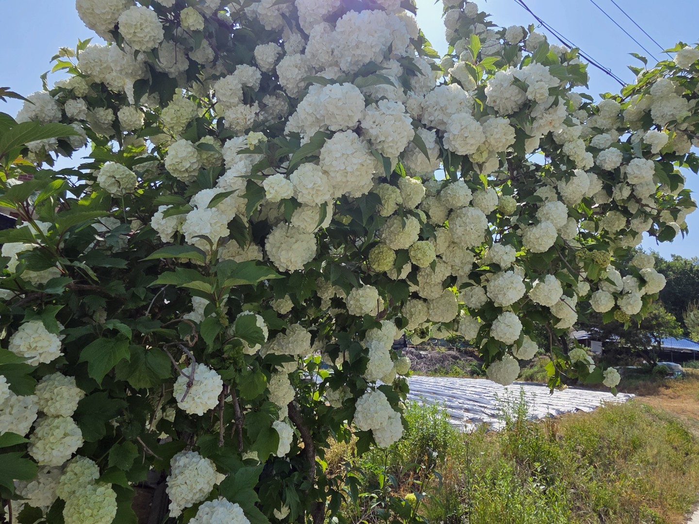 Post image 7