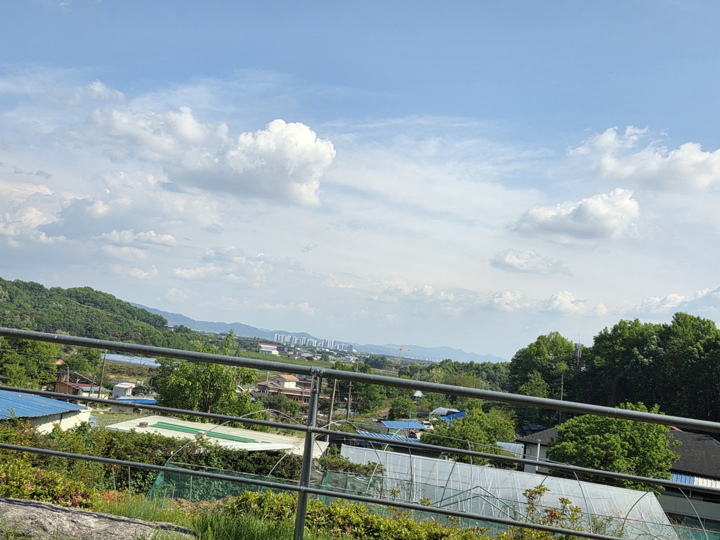 Post image 6