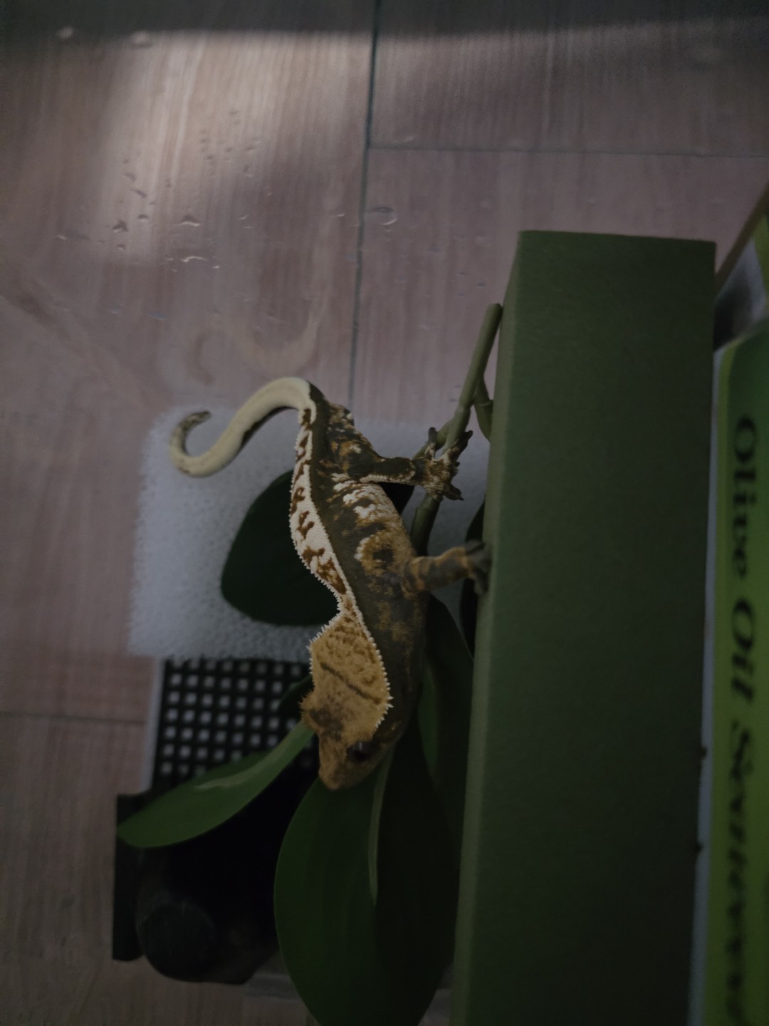 Post image 3