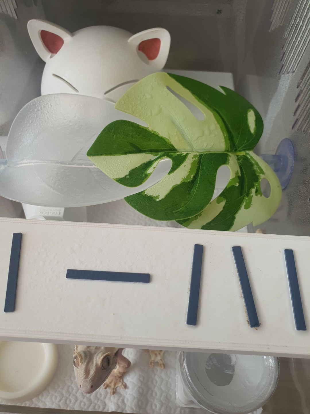 Post image 6