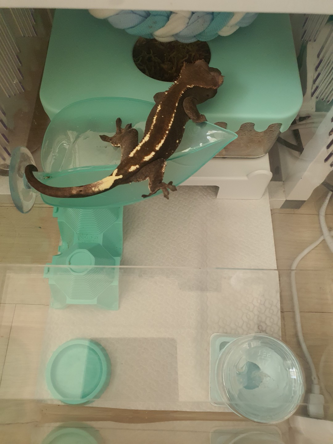 Post image 3