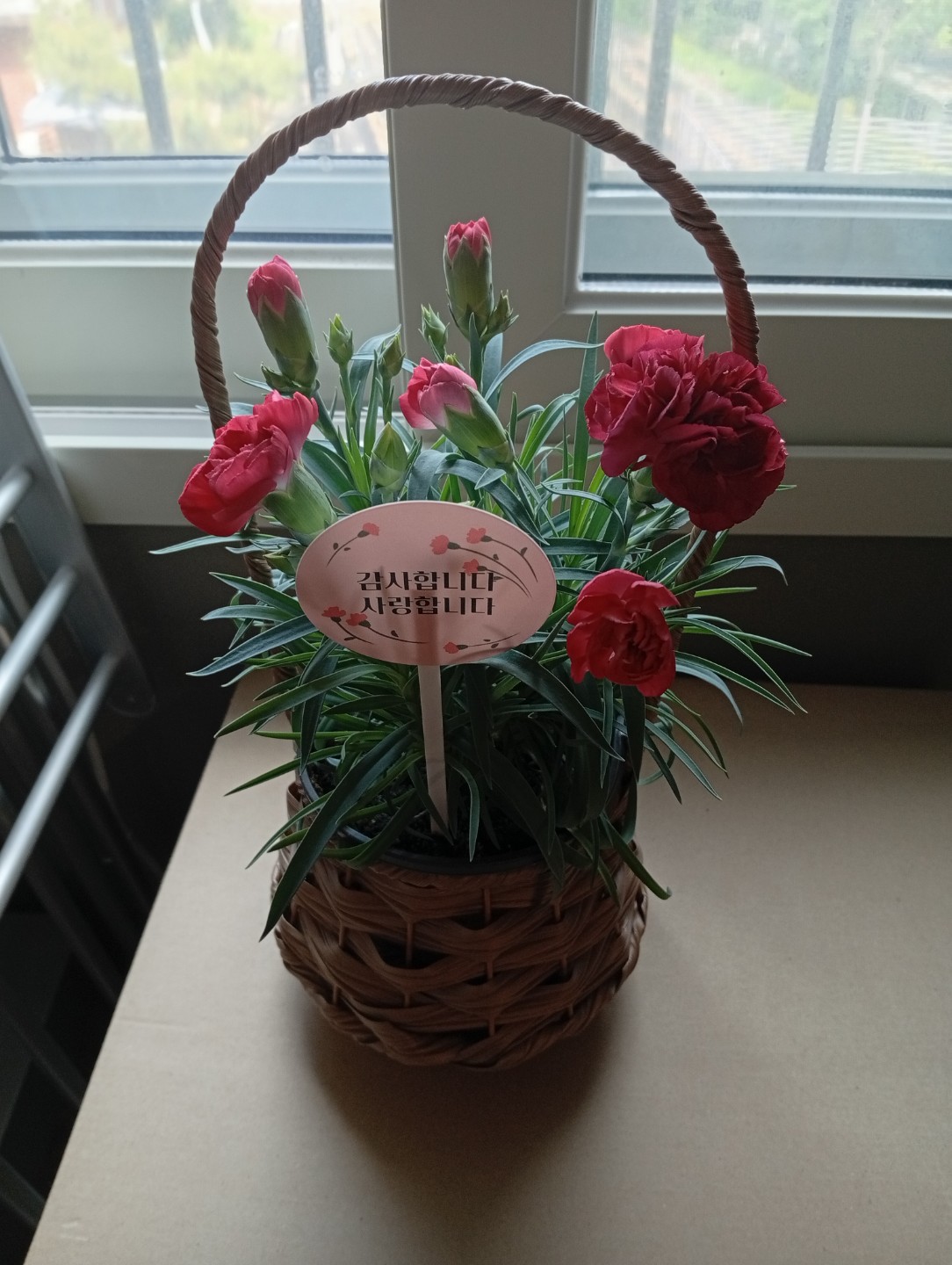 Post image 2