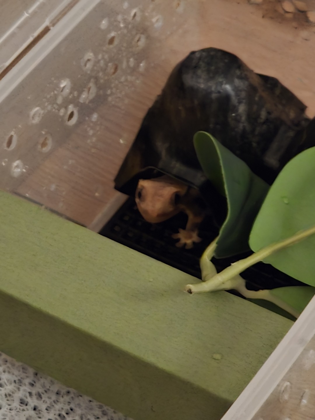 Post image 2
