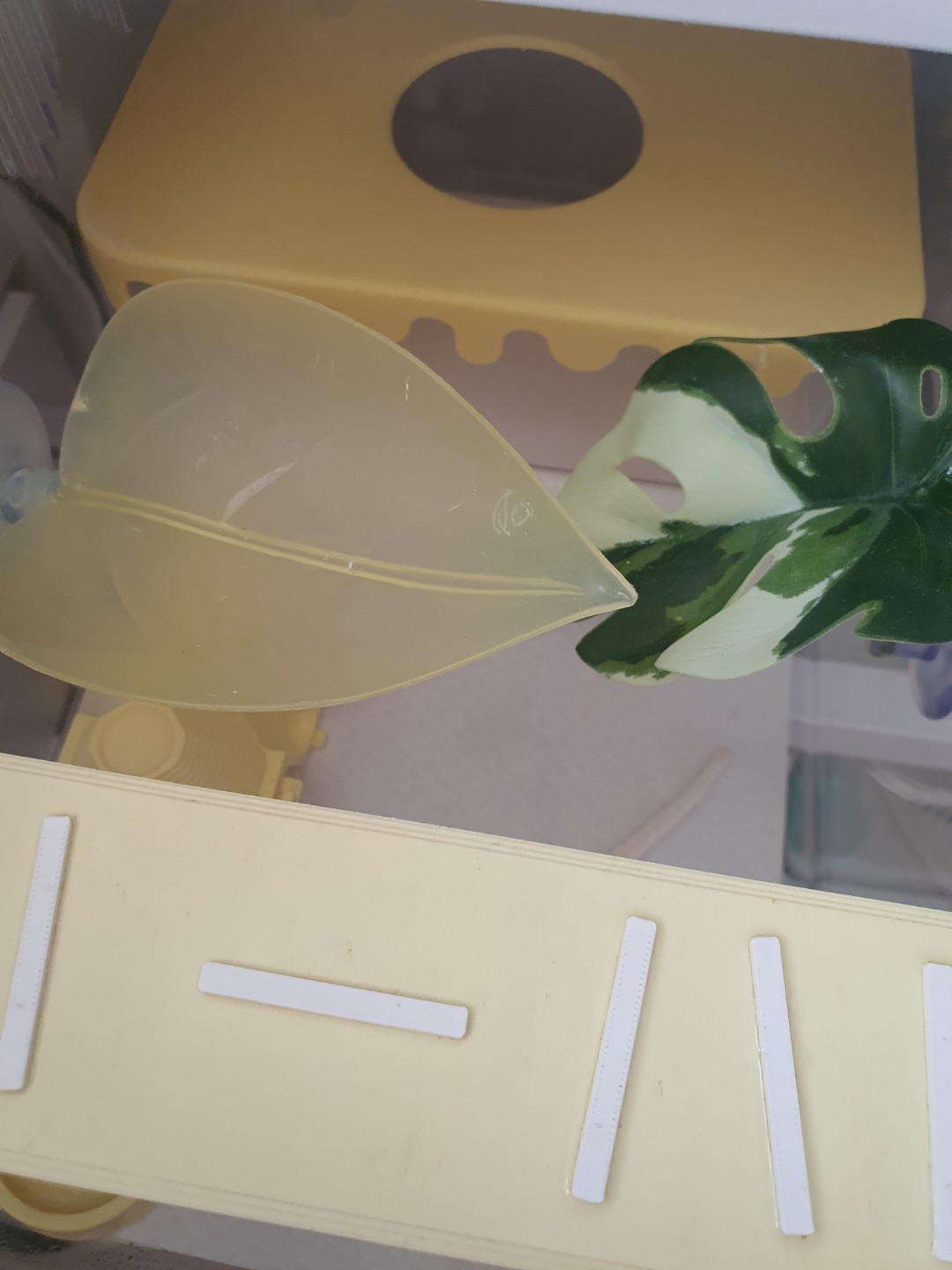 Post image 4