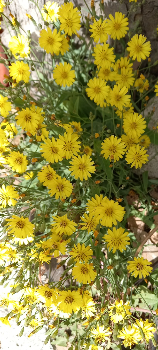 Post image 4