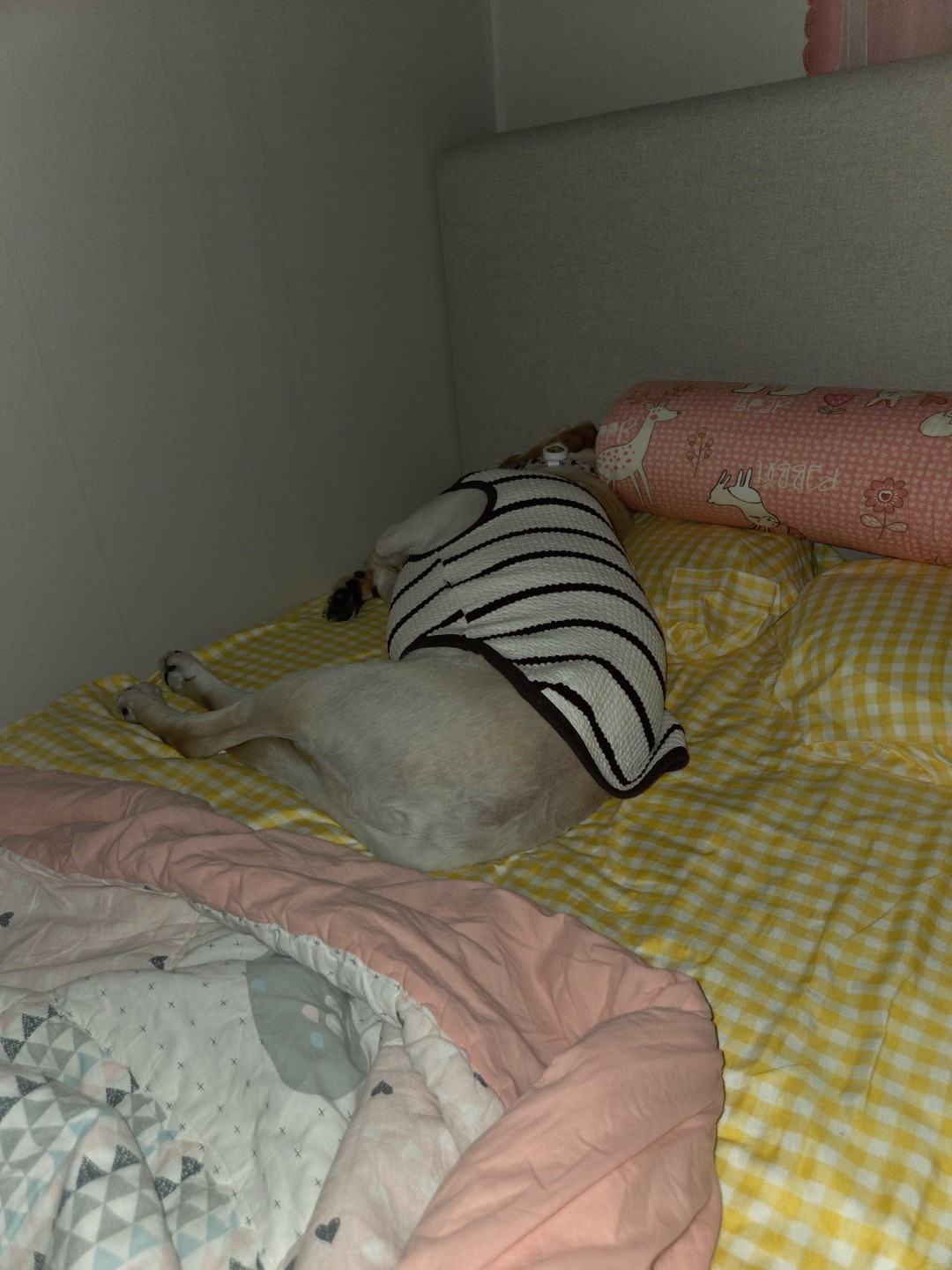 Post image 2