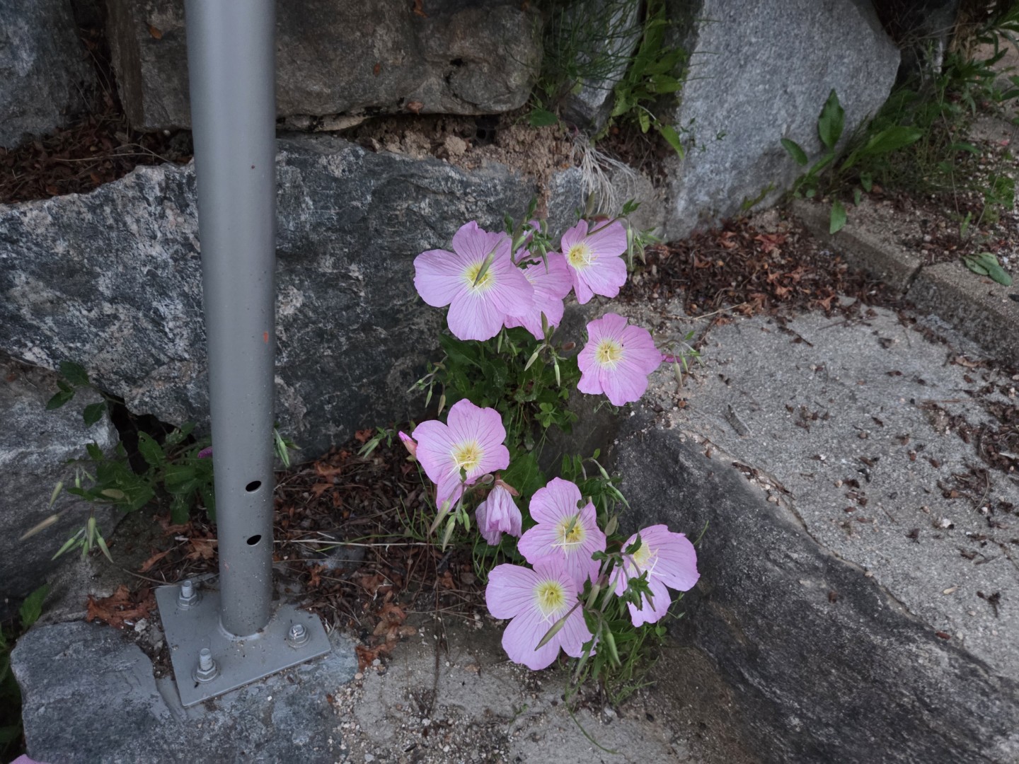 Post image 3