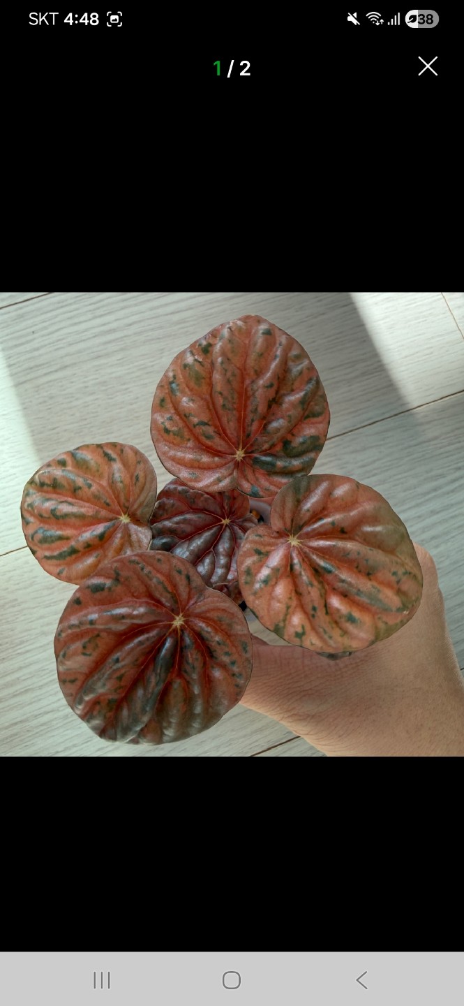 Post image 3