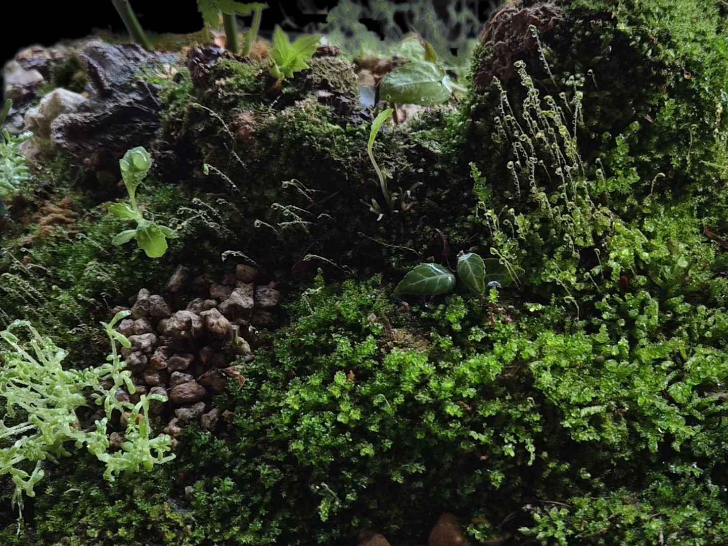 Post image 2