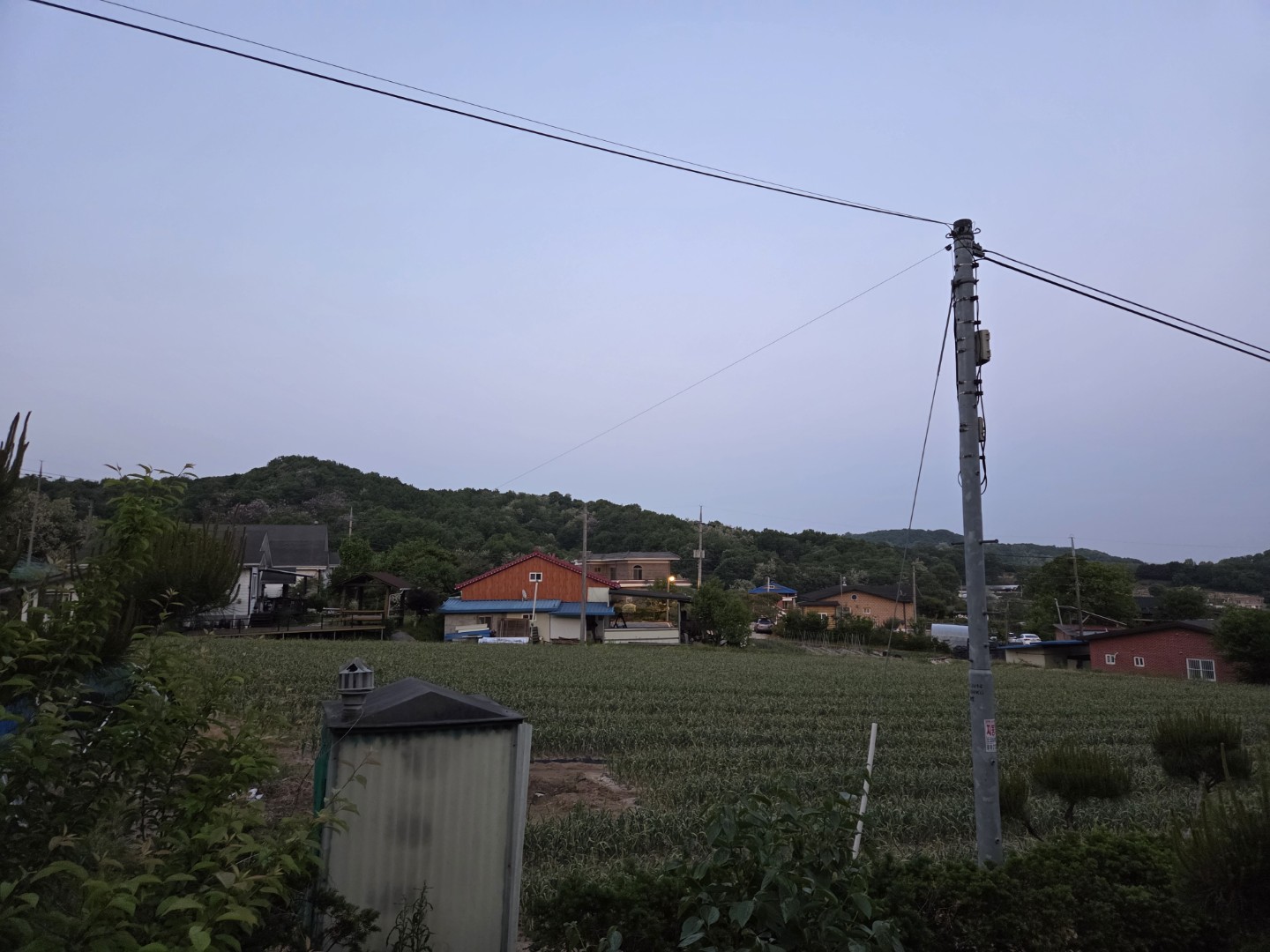 Post image 6