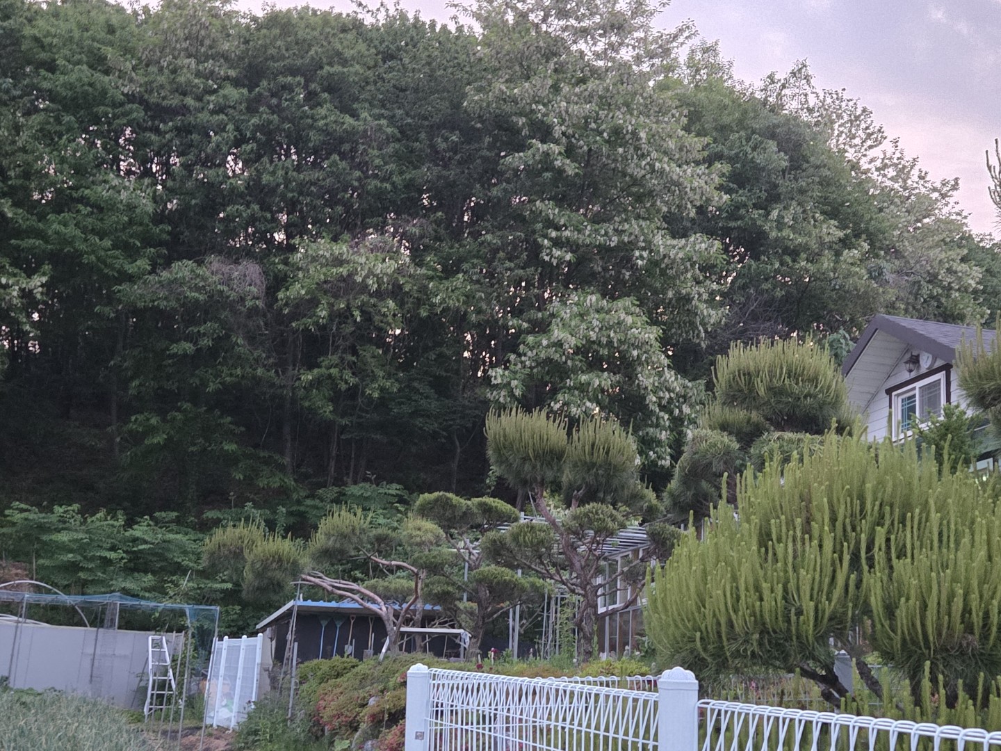 Post image 5