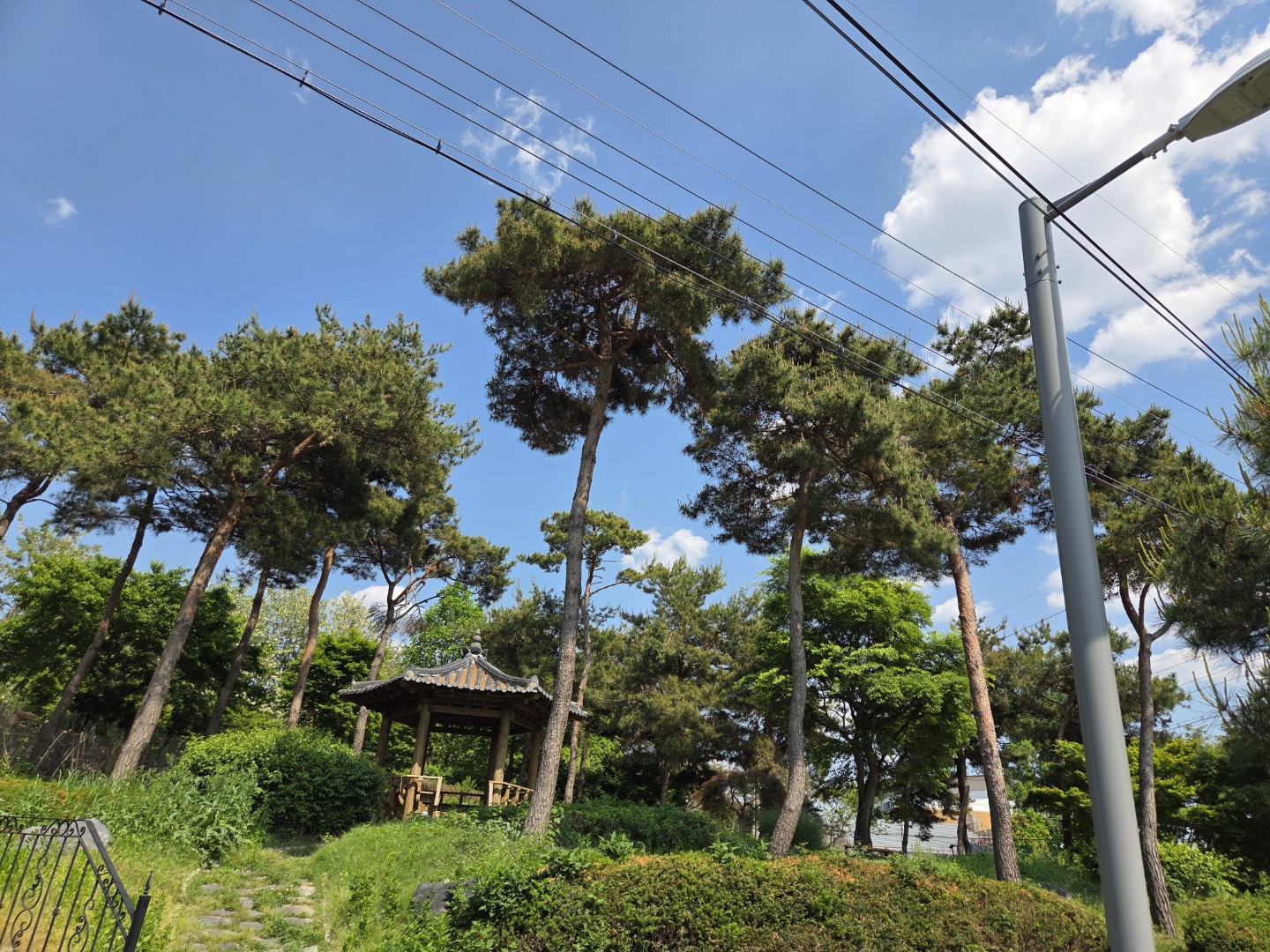 Post image 9