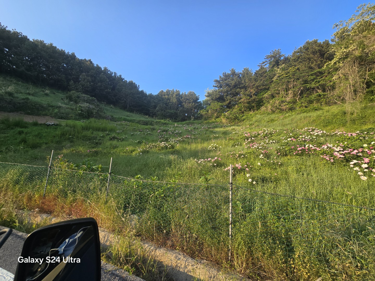 Post image 14