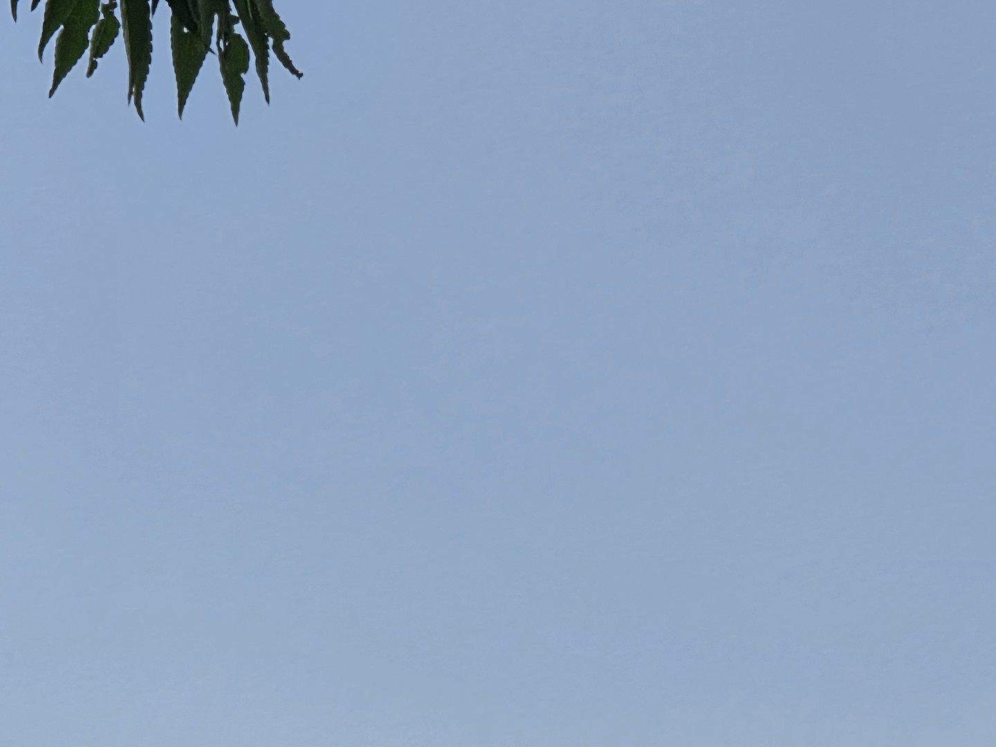 Post image 4