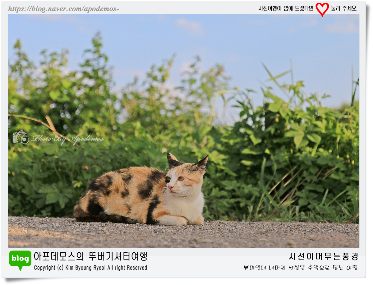 Post image 8