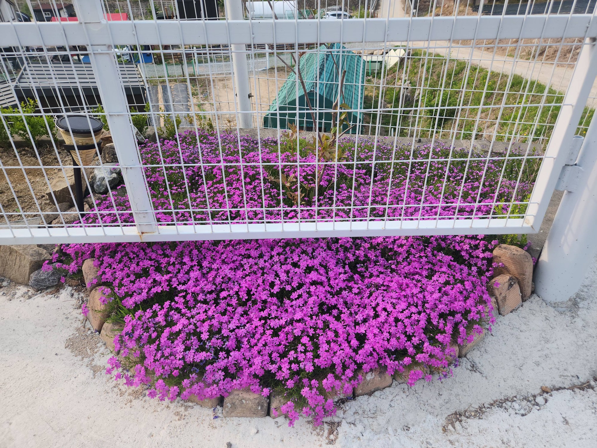 Post image 14