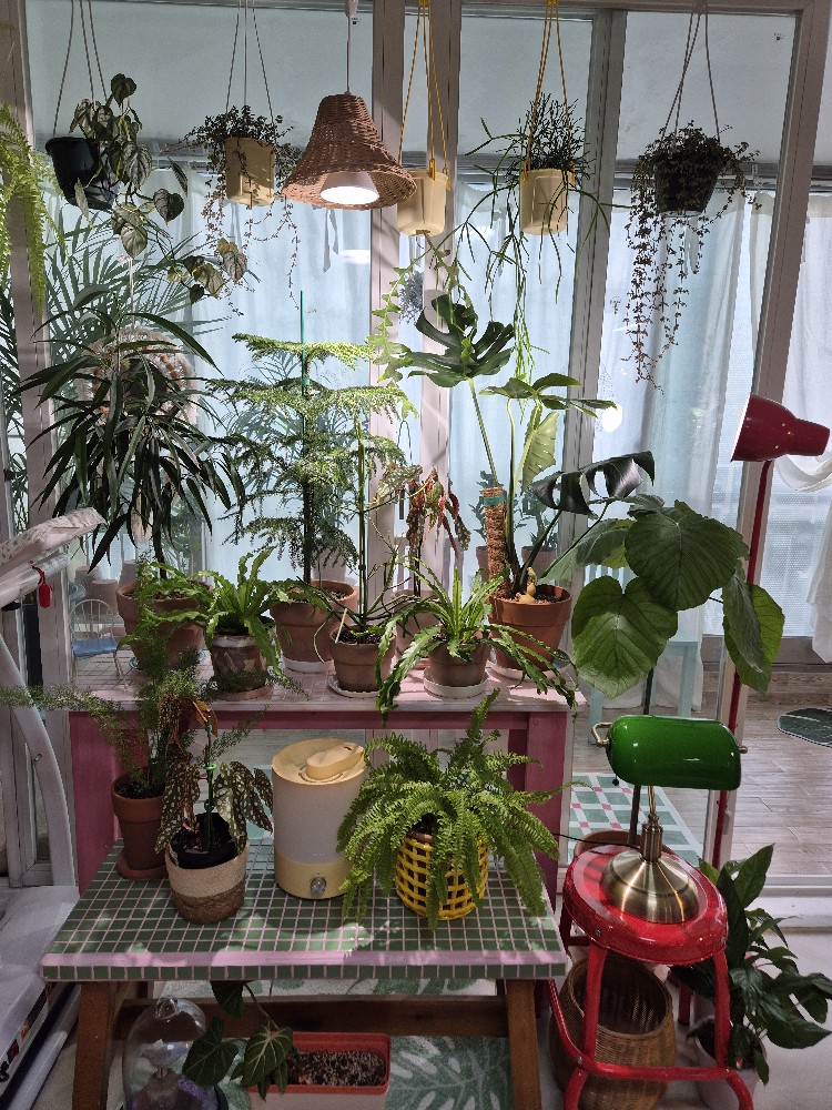 Post image 2
