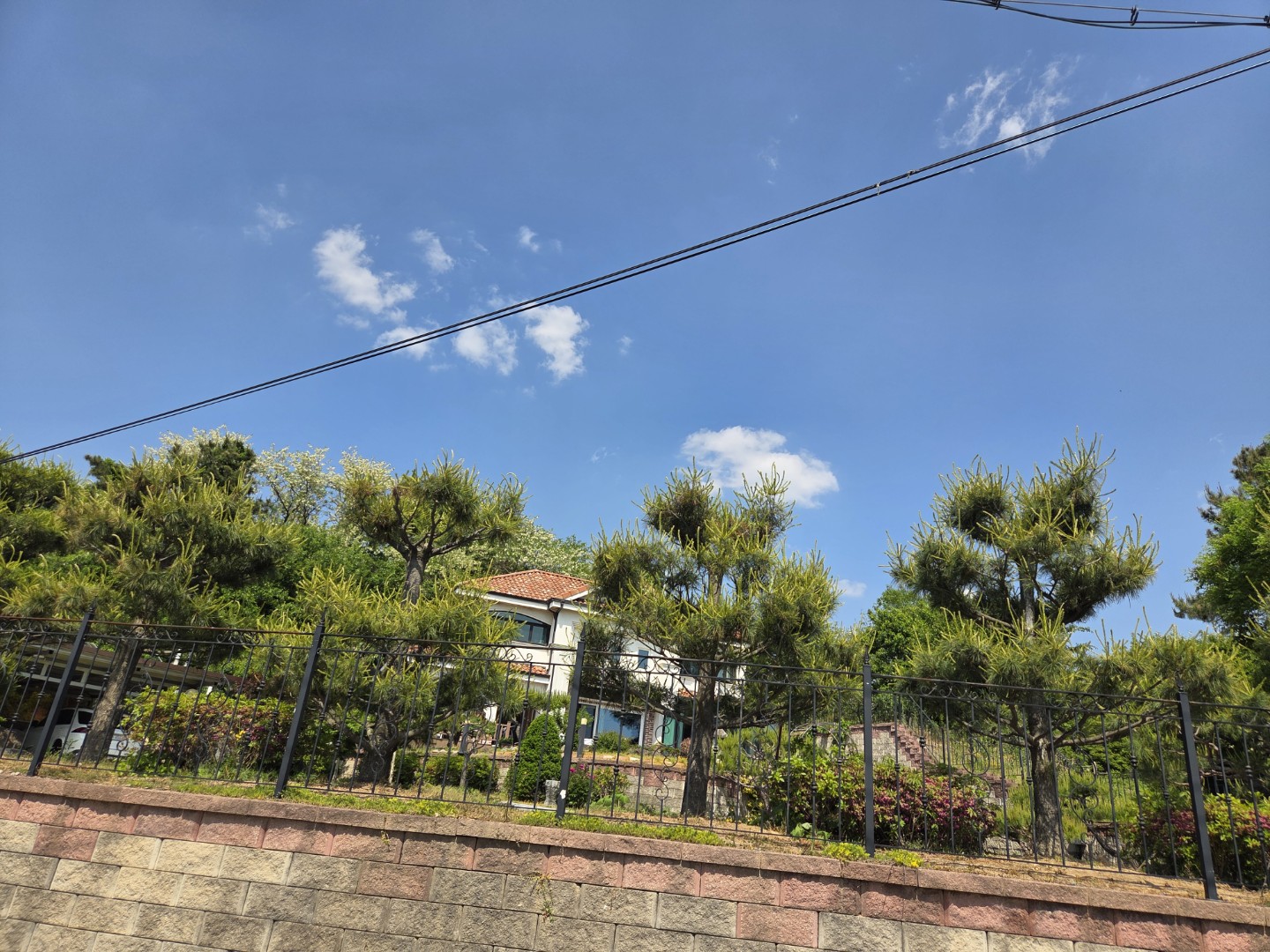 Post image 10