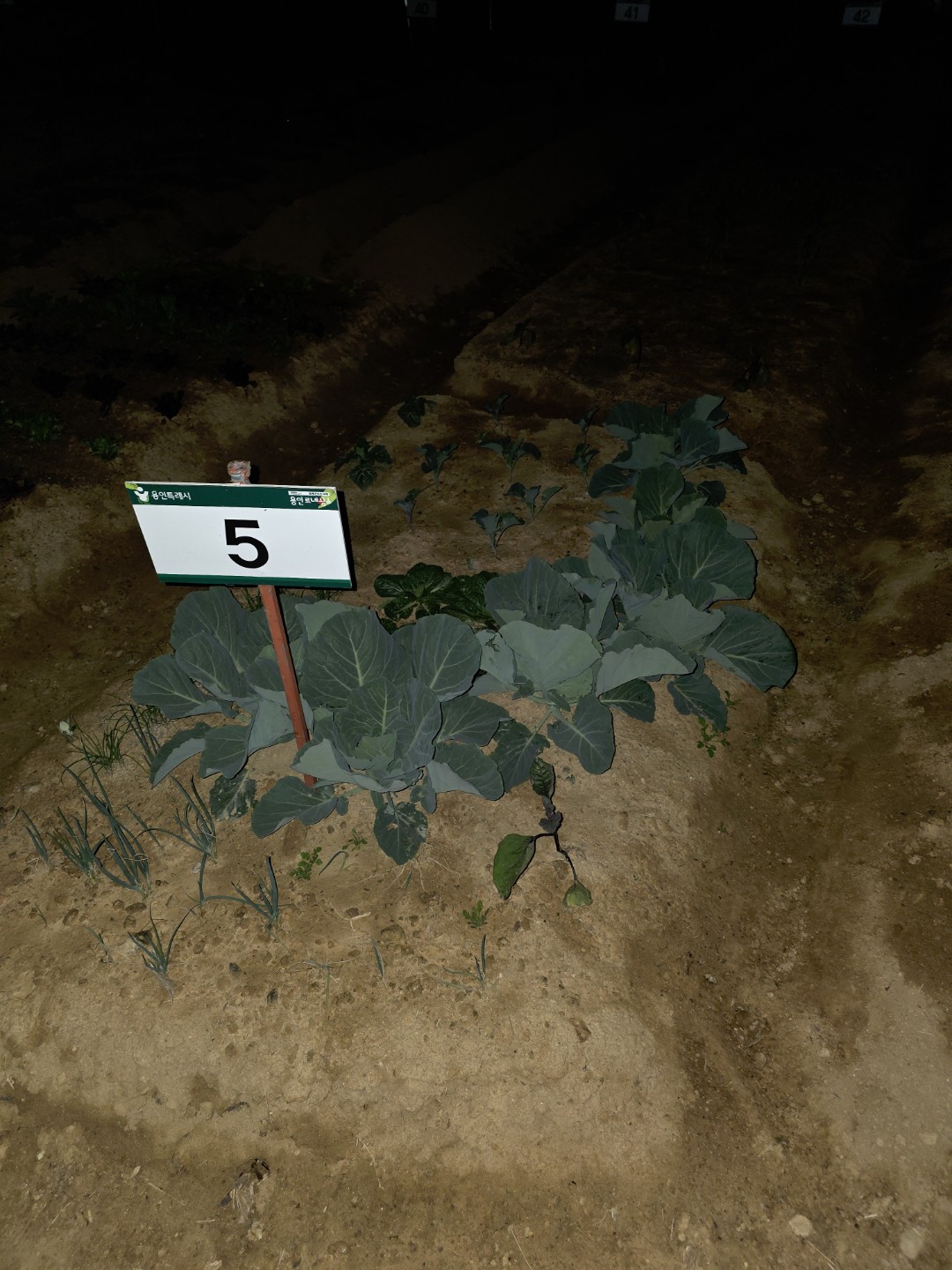 Post image 4