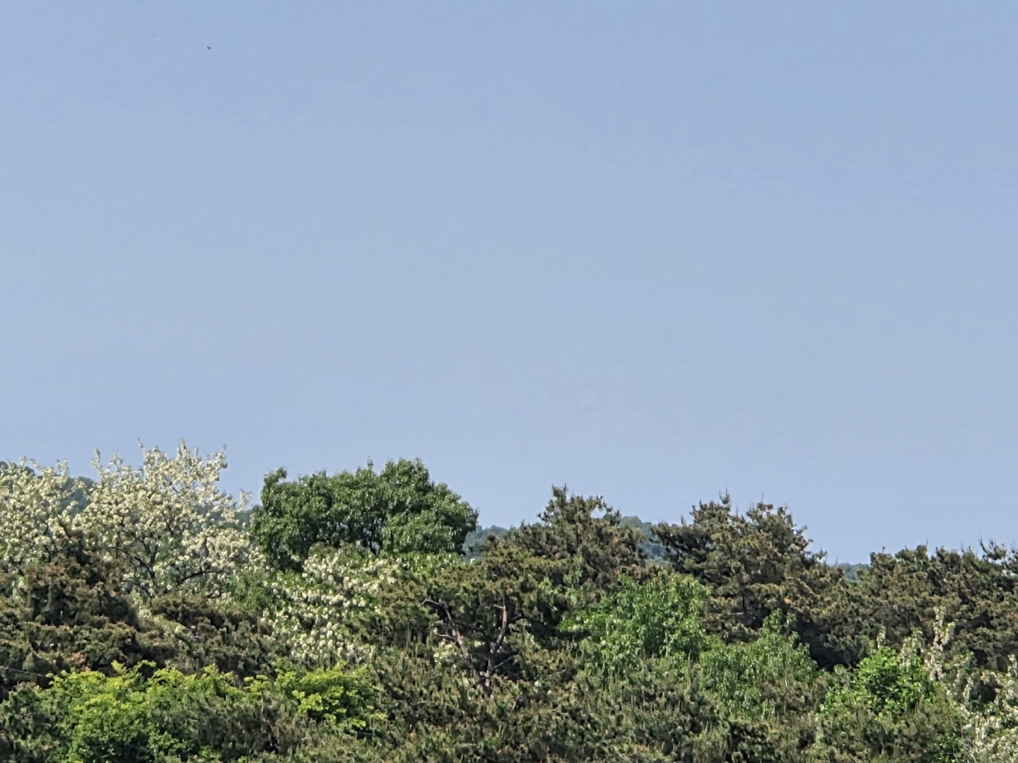 Post image 7