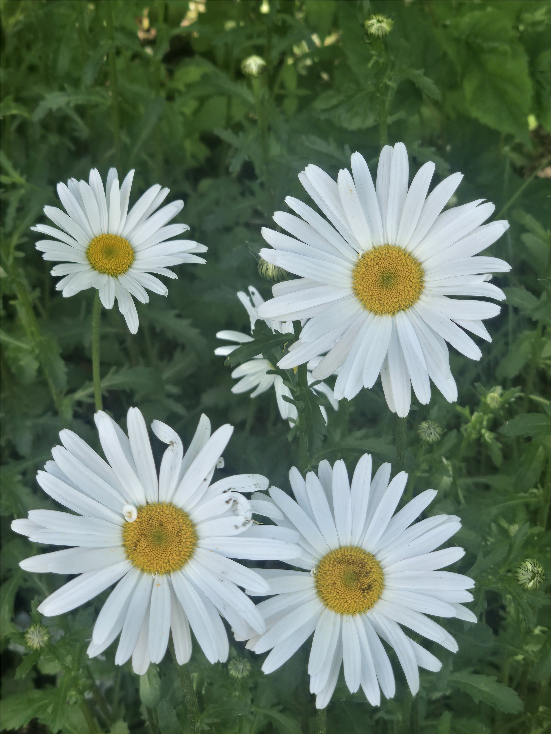 Post image 15