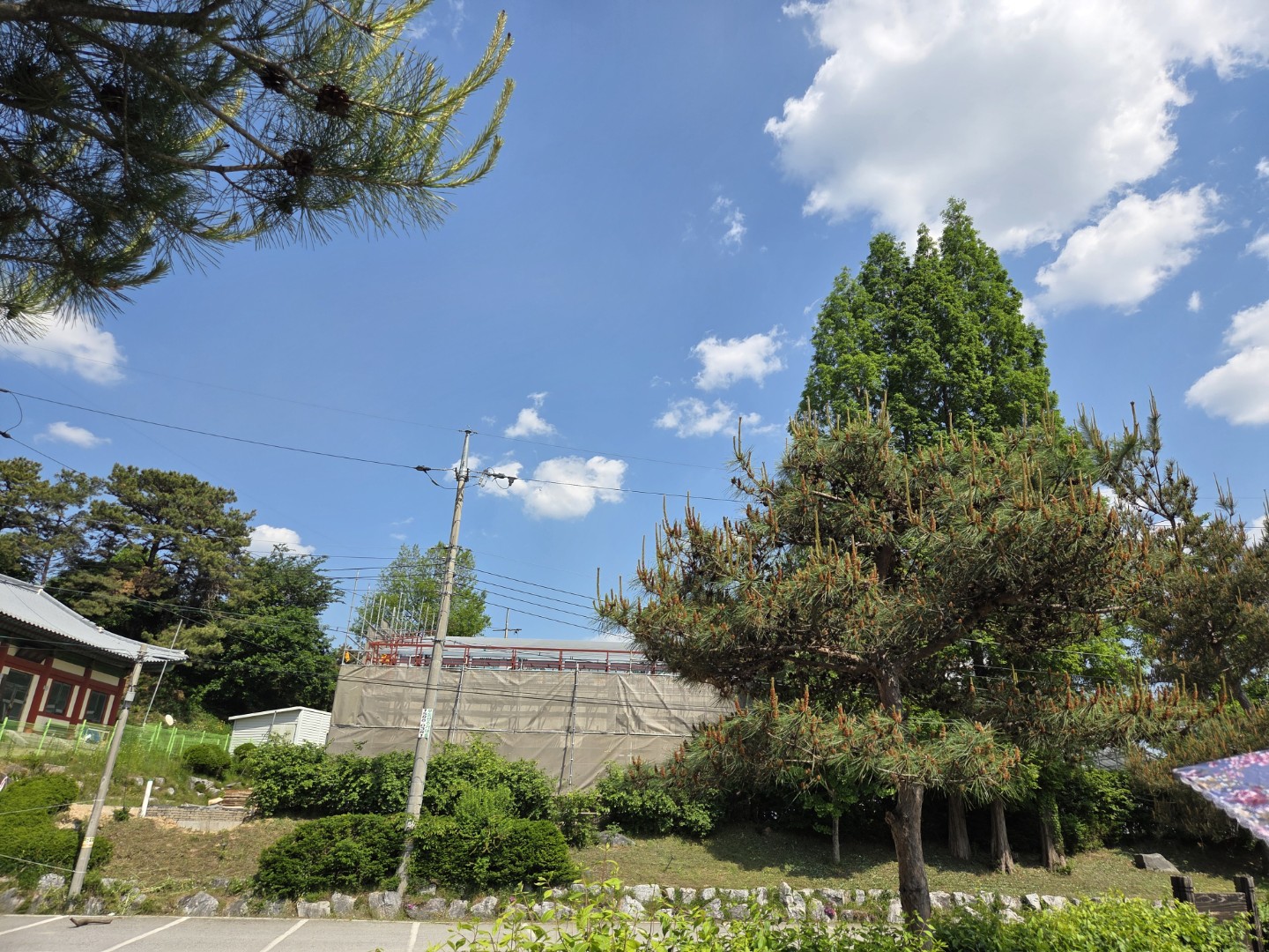 Post image 6