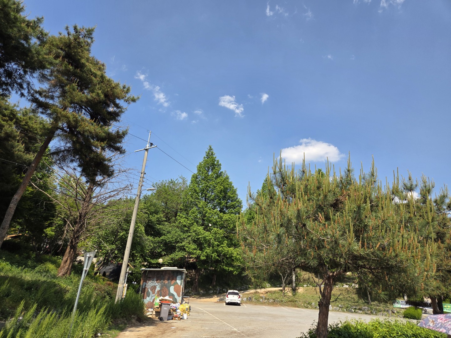 Post image 7