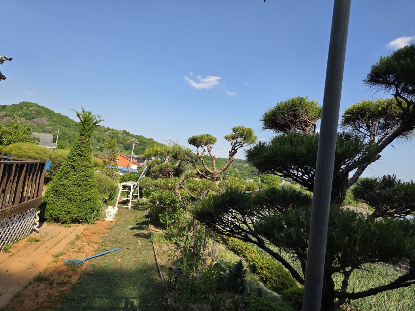 Post image 2